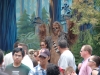 Chewbaca Signing Autographs!